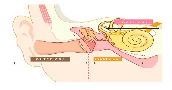Hearing Loss Symptoms, Causes, Types, and Treatment Options
