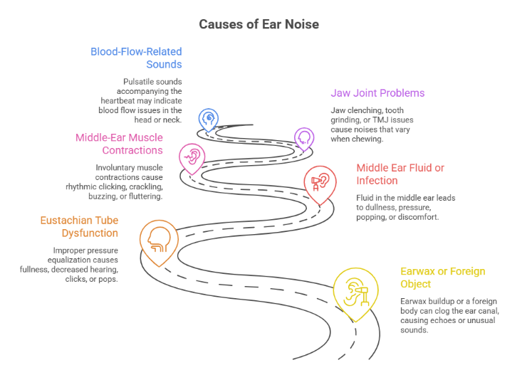 Noise in the Ears: Is It Always Tinnitus?