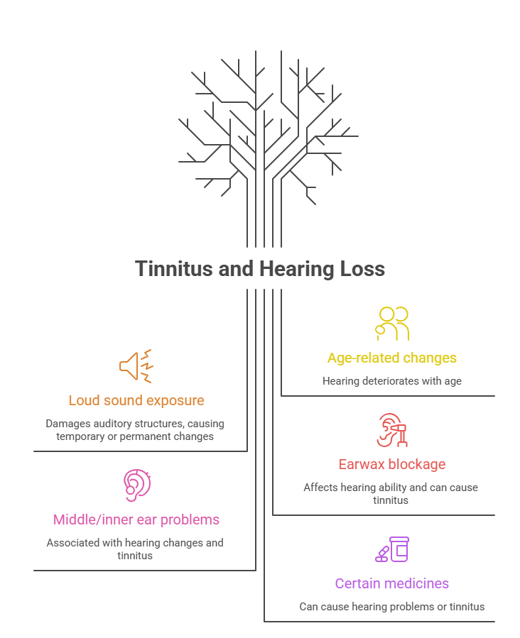Tinnitus and Hearing Loss Why They Often Occur Together